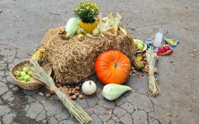 Herbstfest und Tag der offenen Tür